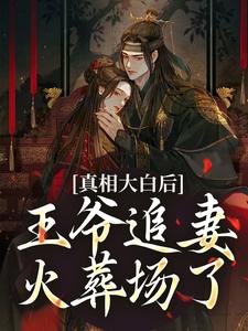 萧锦笙鸿枫在线阅读，真相大白后，王爷追妻火葬场了小说完结版章节