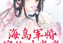 海岛军婚:嫁他生崽崽(沈竹霍锦之)最新章节免费在线阅读-逐鹿文学
