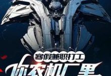寒假兼职打工，你农机厂里开出空天航母？热门小说(季成)在线阅读无弹窗-逐鹿文学