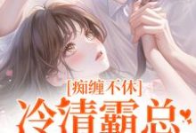 小说痴缠不休：冷清霸总重拾旧爱主角沈鸯周越免费阅读-逐鹿文学