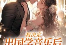 我决定出国学音乐后，大律师后悔了（宋棉贺淮川）完结版免费阅读-逐鹿文学