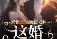 未曾谋面的媳妇是女神，这婚不离了（顾衍掣盛知夏）最新章节免费在线阅读-逐鹿文学
