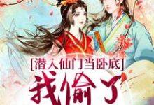 完结版潜入仙门当卧底，我偷了谪仙的心在哪免费看，谢寂玉宋时卿小说在线阅读-逐鹿文学