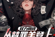 权力巅峰：从替罪羊登上青云之巅免费阅读，高峰大结局无弹窗-逐鹿文学