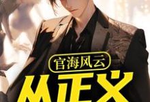 官海风云：从正义开始热门小说(何强)在线阅读无弹窗-逐鹿文学