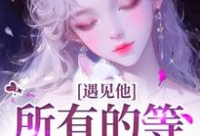 遇见他，所有的等待都值得精彩章节在线免费阅读（夏颜谭正东）-逐鹿文学