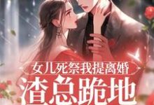 顾星瑶霍长临最新章节女儿死祭我提离婚，渣总跪地求别分免费阅读-逐鹿文学