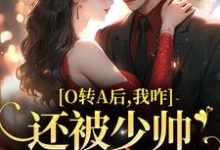 池影霍时晏小说的结局在哪可以看，O转A后，我咋还被少帅强取豪夺了免费阅读完结版-逐鹿文学