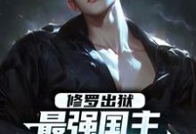 修罗出狱：最强国主身份震撼世界（叶枫）最新章节免费阅读-逐鹿文学