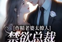 求助这本作精老婆太撩人，禁欲总裁深深沦陷小说在哪里可以看完结版-逐鹿文学