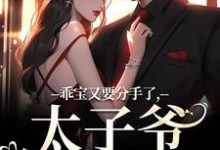 江颜厉霆骁小说免费阅读最新章节列表,乖宝又要分手了,太子爷求贴贴小说在线看-逐鹿文学