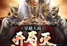 穿越大商，开局灭十万叛军大结局，殷寿姬发小说无广告阅读-逐鹿文学
