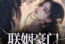 联姻豪门继承人后，我逃婚了！大结局，沈心姿陆仲廷小说无广告阅读-逐鹿文学