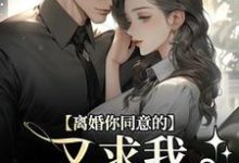 离婚你同意的，又求我复婚干什么（沈青漓周晏辰）完结版免费阅读-逐鹿文学