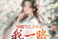 沈嫣萧逸宸小说免费阅读最新章节列表，穿越当太子小妾，我一路扶摇直上小说在线看-逐鹿文学