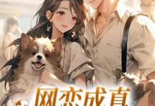 网恋成真，这小子乐癫了小说最新章节在哪里可以免费看-逐鹿文学