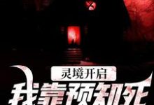 灵境开启，我靠预知死亡技能无敌（主角陈冥肖洁）完结版免费阅读-逐鹿文学