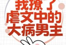 为了活命，我撩了虐文中的大病男主免费阅读(林瑧陆厌)小说免费读最新章节-逐鹿文学
