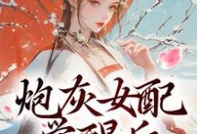 炮灰女配觉醒后：我要宫斗！在线看，顾婉盈凤钰昭小说大结局在哪免费看-逐鹿文学