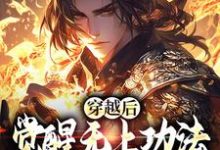穿越后，觉醒无上功法的我要复仇了完结版宋终免费阅读大结局-逐鹿文学