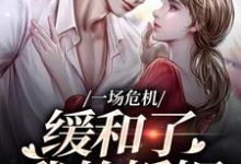 主人公是南迦北铮的小说一场危机，缓和了我的婚姻免费阅读-逐鹿文学