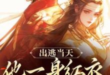 出逃当天，他一身红衣抢掳我免费阅读，谢怀柔沈亦之大结局无弹窗-逐鹿文学