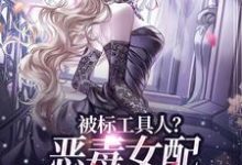 宋以宁许继琛最新章节列表被标工具人？恶毒女配甩男主求自由免费阅读-逐鹿文学