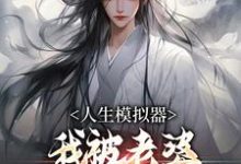 人生模拟器：我被老婆逼成世间极境精彩章节在线免费阅读（白棋陈北玄）-逐鹿文学