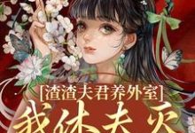 渣渣夫君养外室，我休夫灭妾另高嫁（叶宛卿萧时衍）完结版免费阅读-逐鹿文学