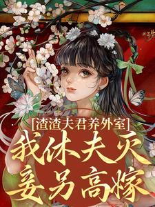 渣渣夫君养外室，我休夫灭妾另高嫁免费阅读(叶宛卿萧时衍)小说免费读最新章节