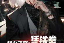 权力之路：凭铁拳，我令黑势力退避免费阅读(步青云王东林)小说免费读最新章节-逐鹿文学