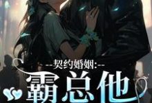 契约婚姻：霸总他超会宠热门小说(苏锐秦众)在线阅读无弹窗-逐鹿文学