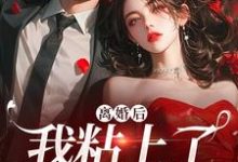 离婚后，我粘上了那位大佬（舒愿陆骁）最新章节免费阅读-逐鹿文学
