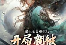 顾云小说的结局在哪可以看，诸天至尊重生后，开局就被频频挑衅免费阅读完结版-逐鹿文学