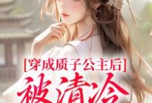 完结版穿成质子公主后，被清冷太子宠了！在哪免费看，阮今禾殷珩小说在线阅读-逐鹿文学