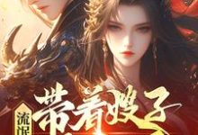 完结版流氓悍匪：带着嫂子黑吃黑在哪免费看，齐海小说在线阅读-逐鹿文学