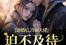 黎九霍骁小说免费阅读最新章节列表，退婚后，冷面大佬迫不及待要娶我小说在线看-逐鹿文学