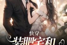 快穿：装肥宅和男主网恋后精彩章节阅读(泠宝桑泠)免费阅读大结局-逐鹿文学