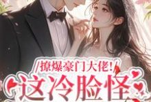 完结版撩爆豪门大佬！这冷脸怪居然很纯情在哪免费看，云漾裴今墨小说在线阅读-逐鹿文学