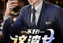 不好！这渣女要虐死了热门小说(顾迟云云晚晚)在线阅读无弹窗-逐鹿文学