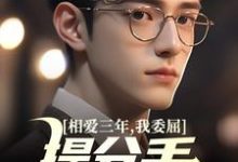 相爱三年,我委屈提分手他红了眼(主角苏清荷沈砚)完结版免费阅读-逐鹿文学