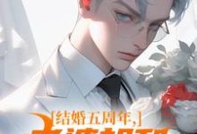 求助这本结婚五周年，老婆却和白月光狂欢小说在哪里可以看完结版-逐鹿文学