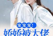宠宠宠!娇娇被大佬拿命宠(叶初夏陆执)完结版免费阅读-逐鹿文学