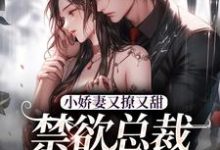 江熹季向聿小说的结局在哪可以看，小娇妻又撩又甜，禁欲总裁宠上瘾免费阅读完结版-逐鹿文学