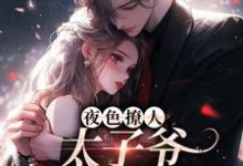 夜色撩人，太子爷为她乱了心（楚璃徐砚周）最新章节免费在线阅读-逐鹿文学