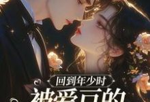 回到年少时，被爱豆的死对头盯上了在线看，初夏林澈小说大结局在哪免费看-逐鹿文学