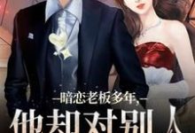 暗恋老板多年，他却对别人温柔相待免费阅读(顾楠裴颂忱)小说免费读最新章节-逐鹿文学
