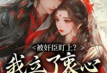 被奸臣盯上？我立了衷心小弟人设！热门小说(秦烟年沈知也)在线阅读无弹窗-逐鹿文学