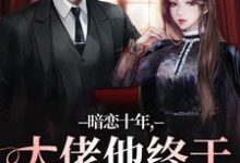 暗恋十年，大佬他终于持证上岗了（沈清沅贺景川）最新章节在线阅读-逐鹿文学