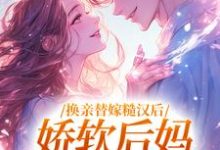 跪求主角是沈念姝陆少钦的小说书名叫什么-逐鹿文学